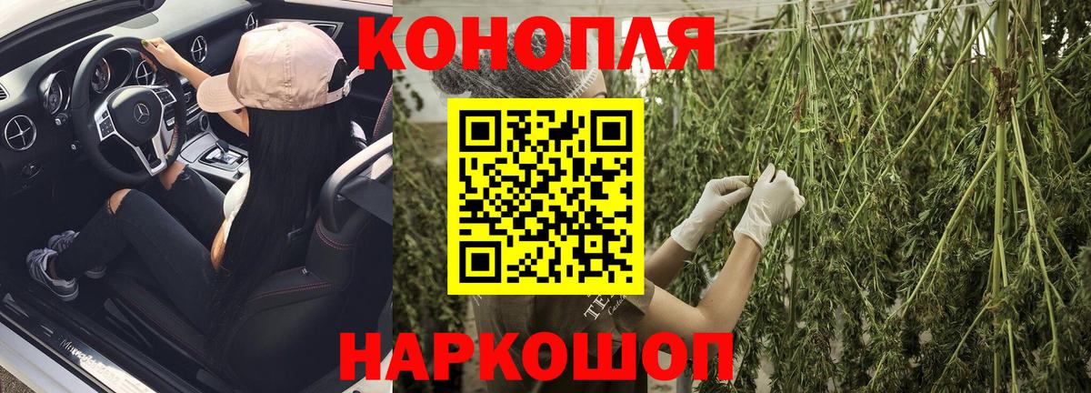 Конопля LSD WEED  Вход с VPN  Канабис конопля  Бошки Шишки VHQ  Гатчина 
